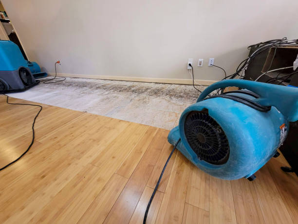 Professional Water Damage Repair technician working in Monrovia, IN